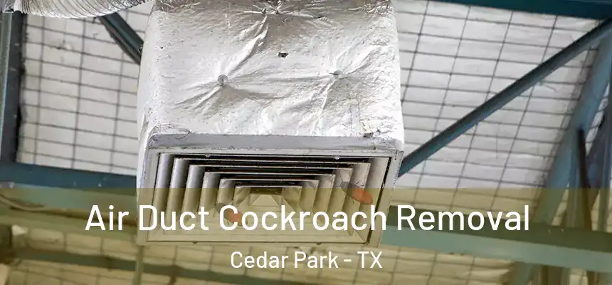  Air Duct Cockroach Removal Cedar Park - TX