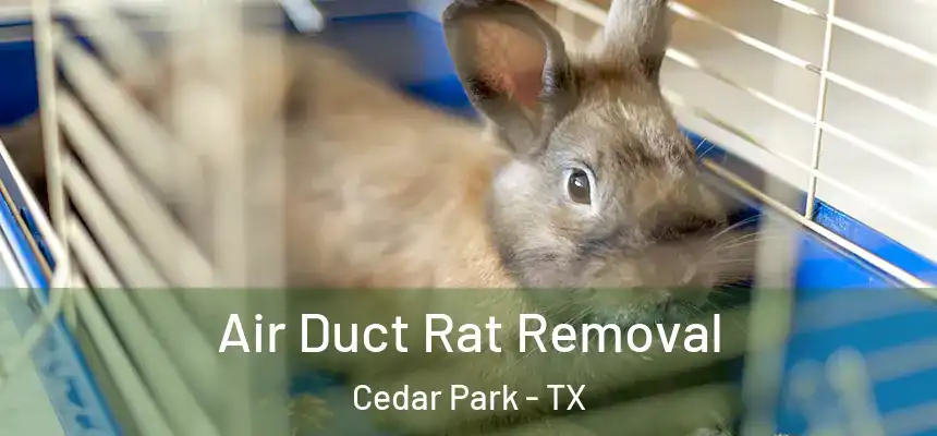  Air Duct Rat Removal Cedar Park - TX