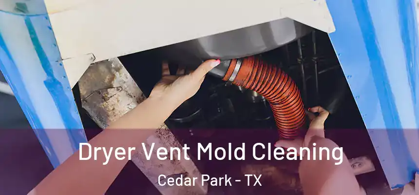  Dryer Vent Mold Cleaning Cedar Park - TX