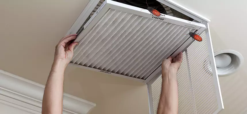Preventive Cockroach-Proofing for Ducts in Cedar Park