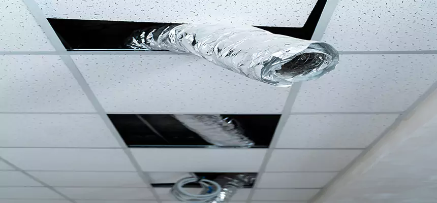 Our Air Duct Pet Hair Removal Services in Cedar Park, TX