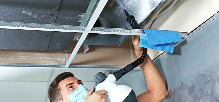 Our Air Duct Rodent Removal Services in Cedar Park, TX