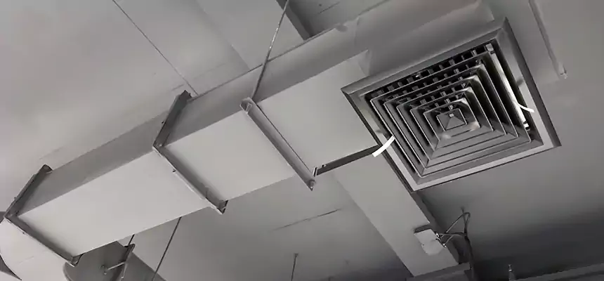 Restorative Allergy Relief Vent Cleaning – Coil, Blower & Housing Detail in Cedar Park