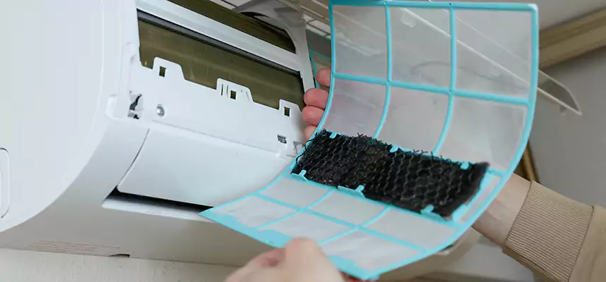 Gentle Ductwork Odor-Control Pet Dander Duct Cleaning in Cedar Park, TX