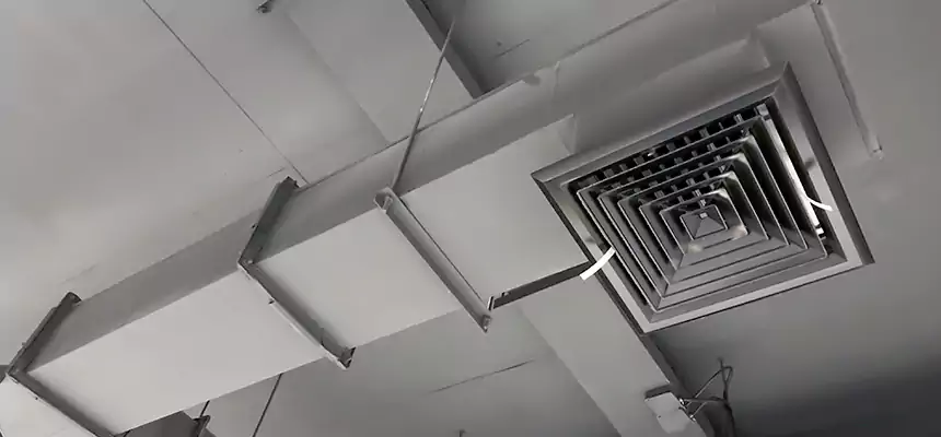 Our Rodent Droppings In Vents Services in Cedar Park, TX