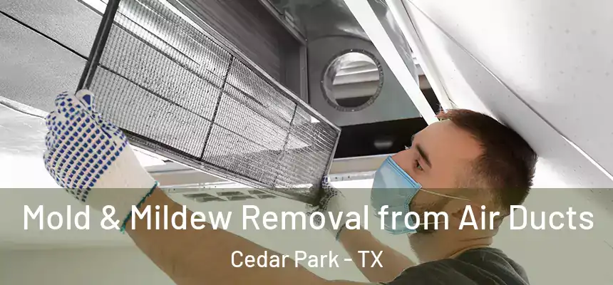  Mold & Mildew Removal from Air Ducts Cedar Park - TX