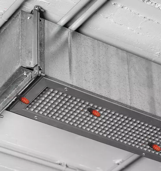 About Air Duct Cockroach Removal in Cedar Park, TX