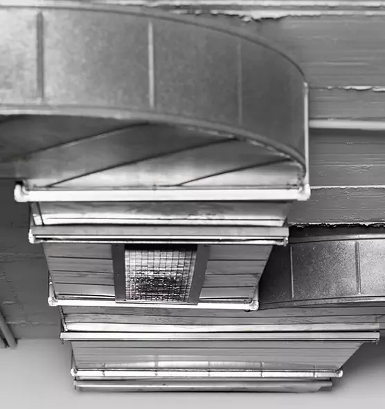 Professional Air Duct Pest Removal in Cedar Park, TX