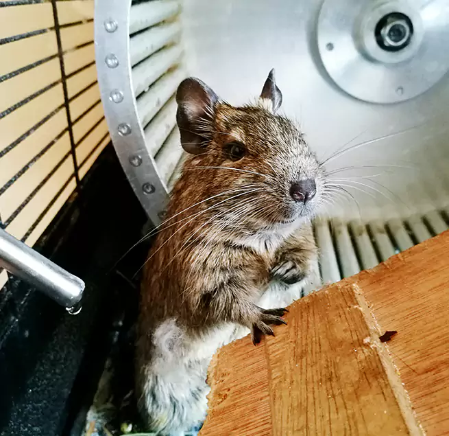 Why Homeowners & Businesses Trust Us Cedar Park, TX?