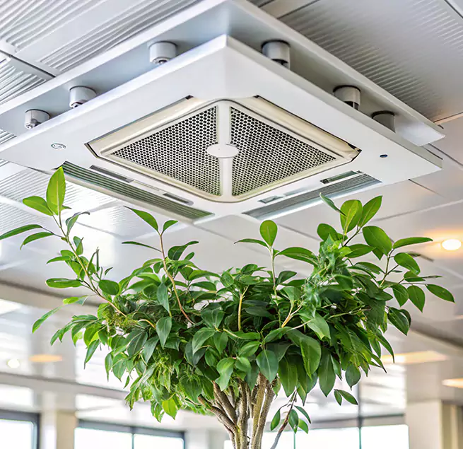 Why Homeowners & Businesses Trust Us in Cedar Park, TX