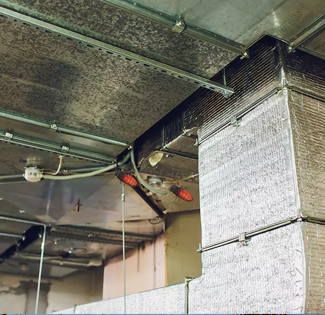 Why Homeowners & Businesses Trust Us Cedar Park, TX?