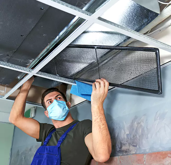 Why Homeowners & Businesses Trust Us in Cedar Park, TX?