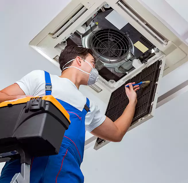 Why Homeowners & Businesses Trust Us in Cedar Park, TX?